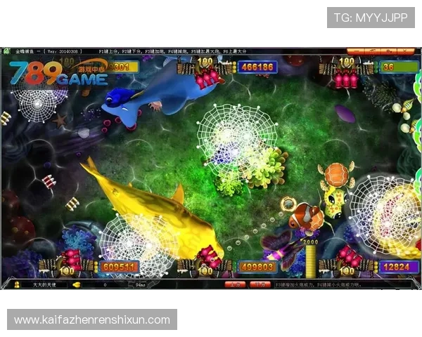 凯发金鲨银鲨：节省时间提升胜率的实用技巧分享